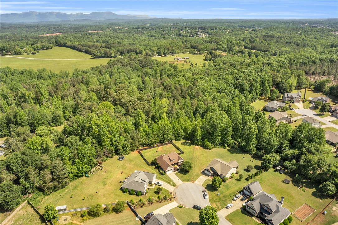 32 Berry Pine Court, Taylors, South Carolina image 31