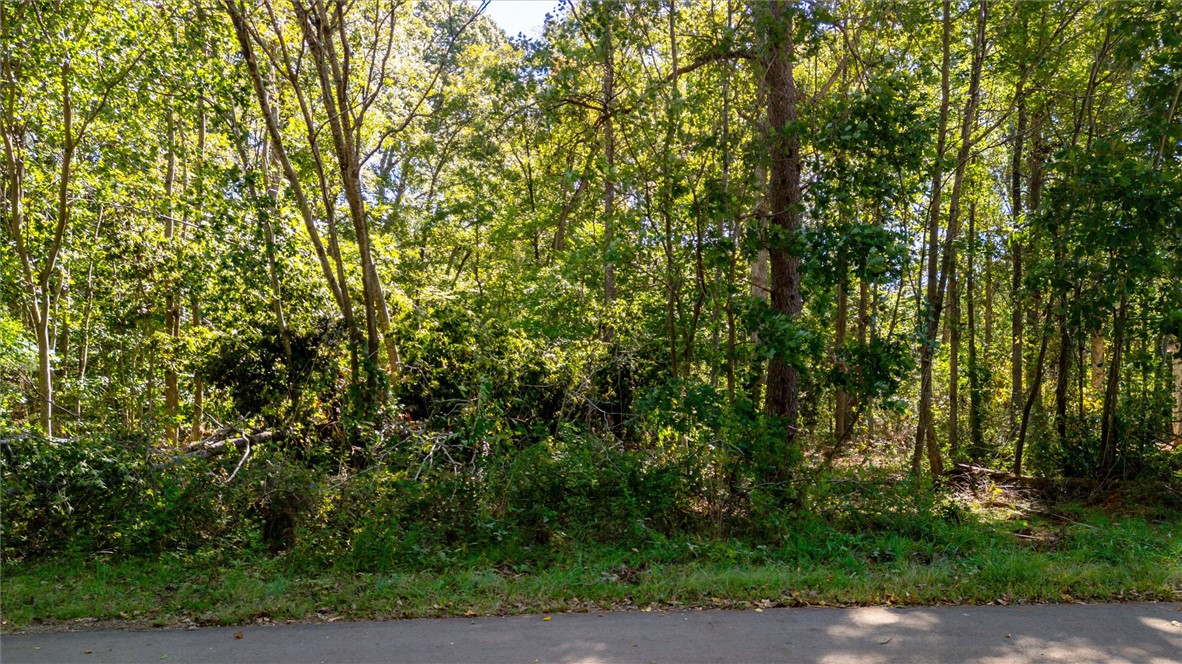 00 Aragaon Street, Piedmont, South Carolina image 1