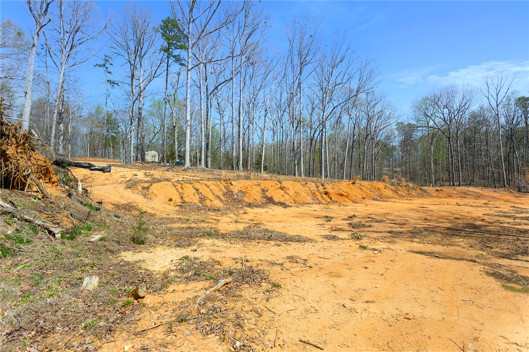 605 Elizabeth (lot 2) Road, Westminster, South Carolina image 8
