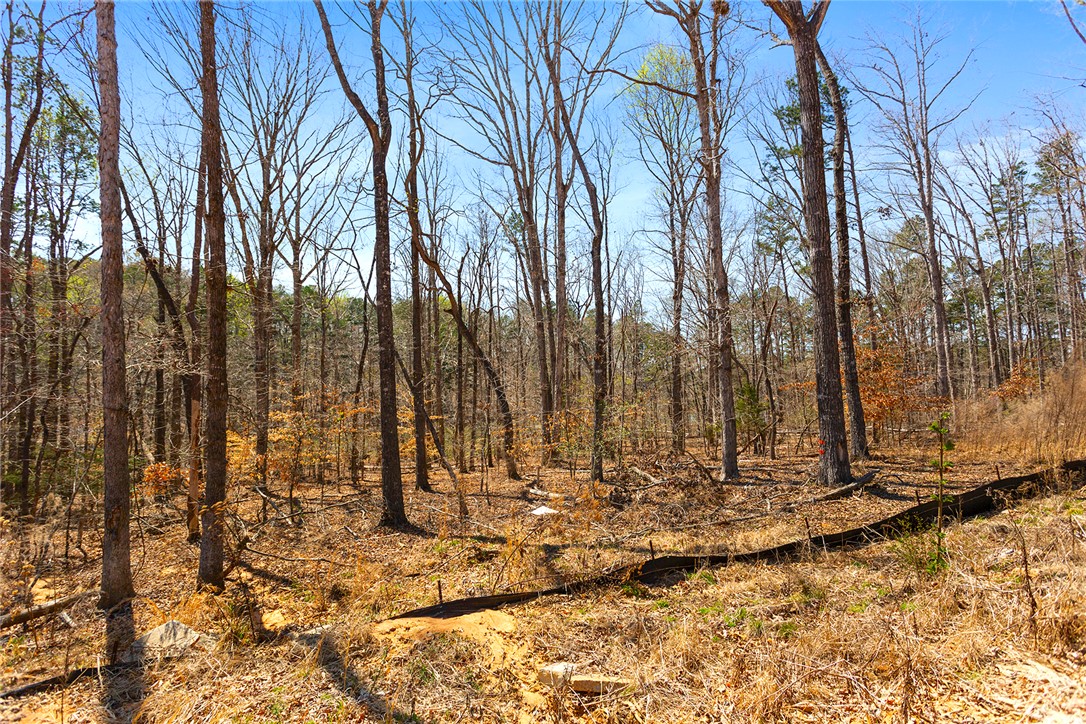 605 Elizabeth (lot 2) Road, Westminster, South Carolina image 10