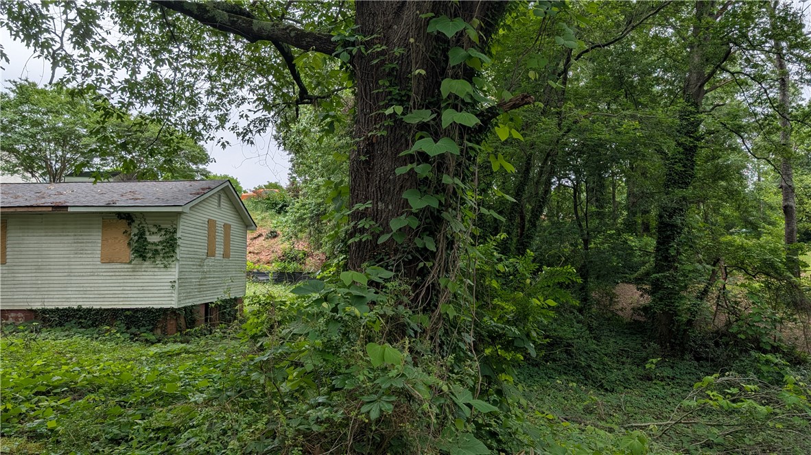 210 Greenlee Place, Clemson, South Carolina image 4
