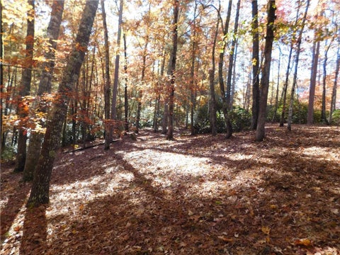 Vacant Land For Sale - 130 Cliffs Falls Parkway<br/> Salem, SC 29676