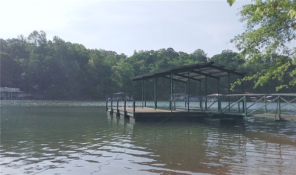 Lake Place Drive, Lavonia, Georgia image 3