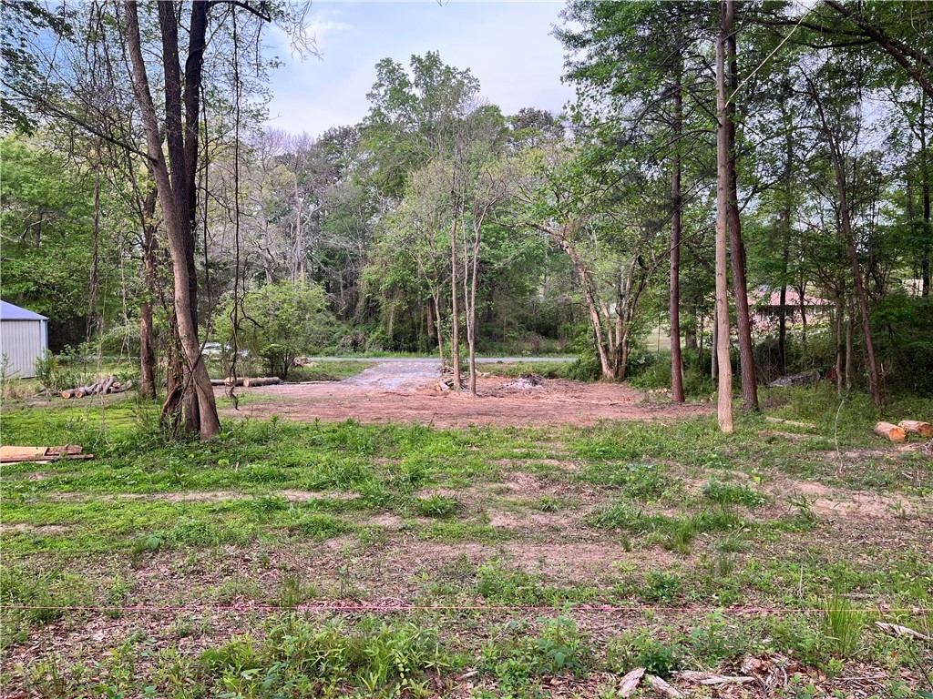 209 And 205 Hazelwood Avenue #LOTS 12 209  10 205, Anderson, South Carolina image 1