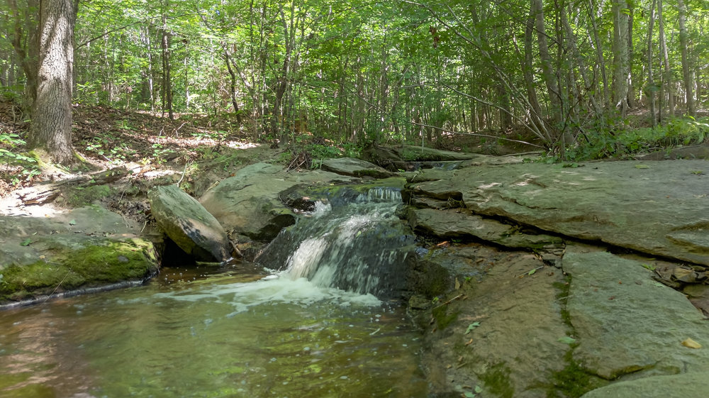 Pelzer, South Carolina 29669, United States, 3 Bedrooms Bedrooms, ,3 BathroomsBathrooms,Residential,Active,173214