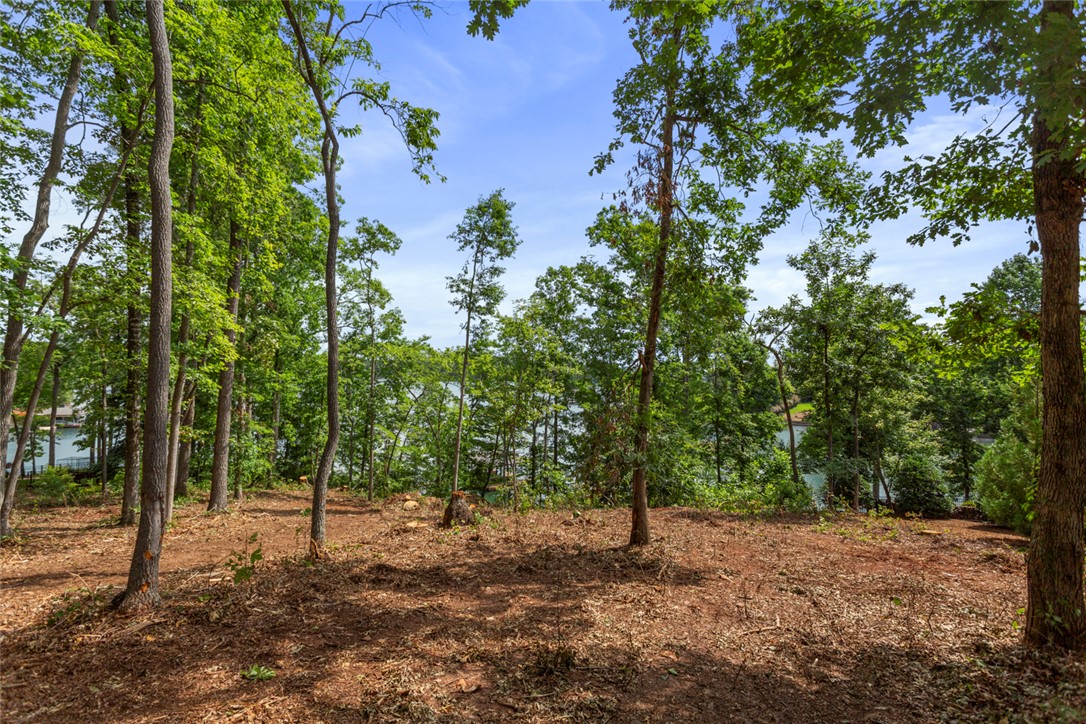 Lot 10 The Oaks/ Augusta Pt, Seneca, South Carolina image 13