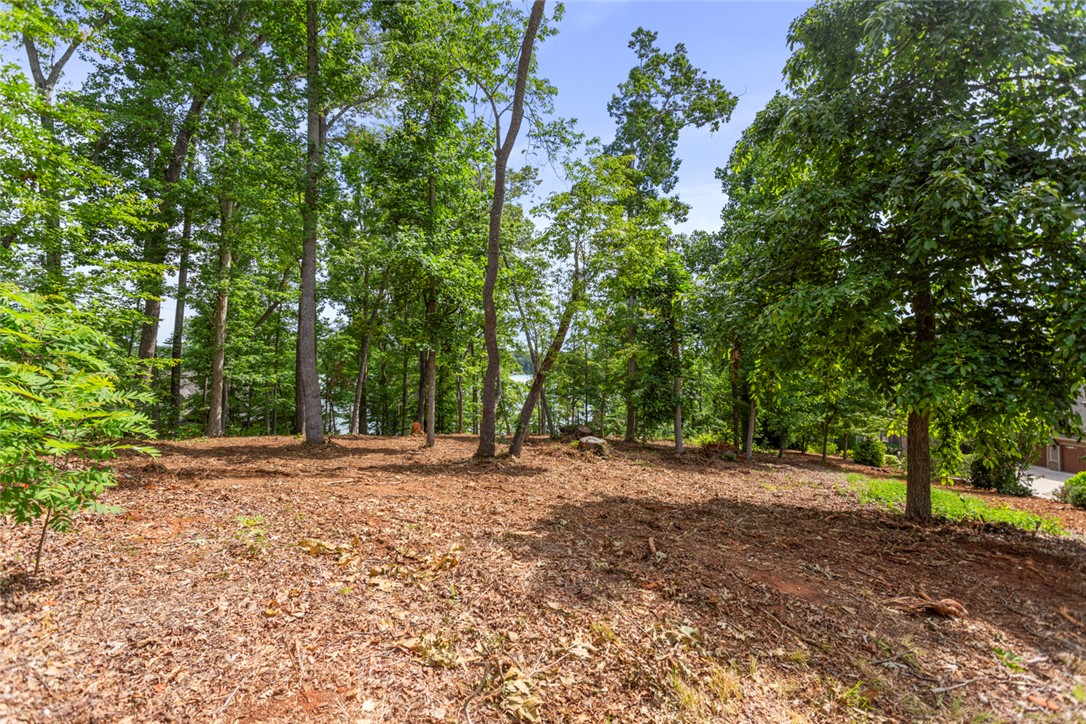 Lot 10 The Oaks/ Augusta Pt, Seneca, South Carolina image 14