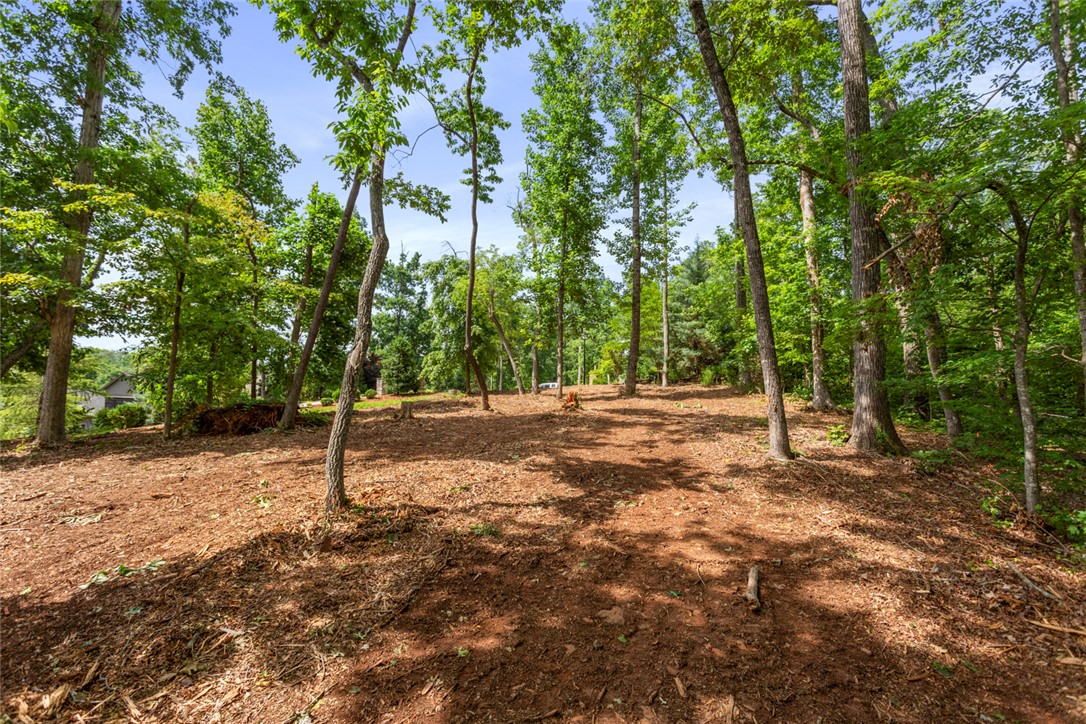Lot 10 The Oaks/ Augusta Pt, Seneca, South Carolina image 21