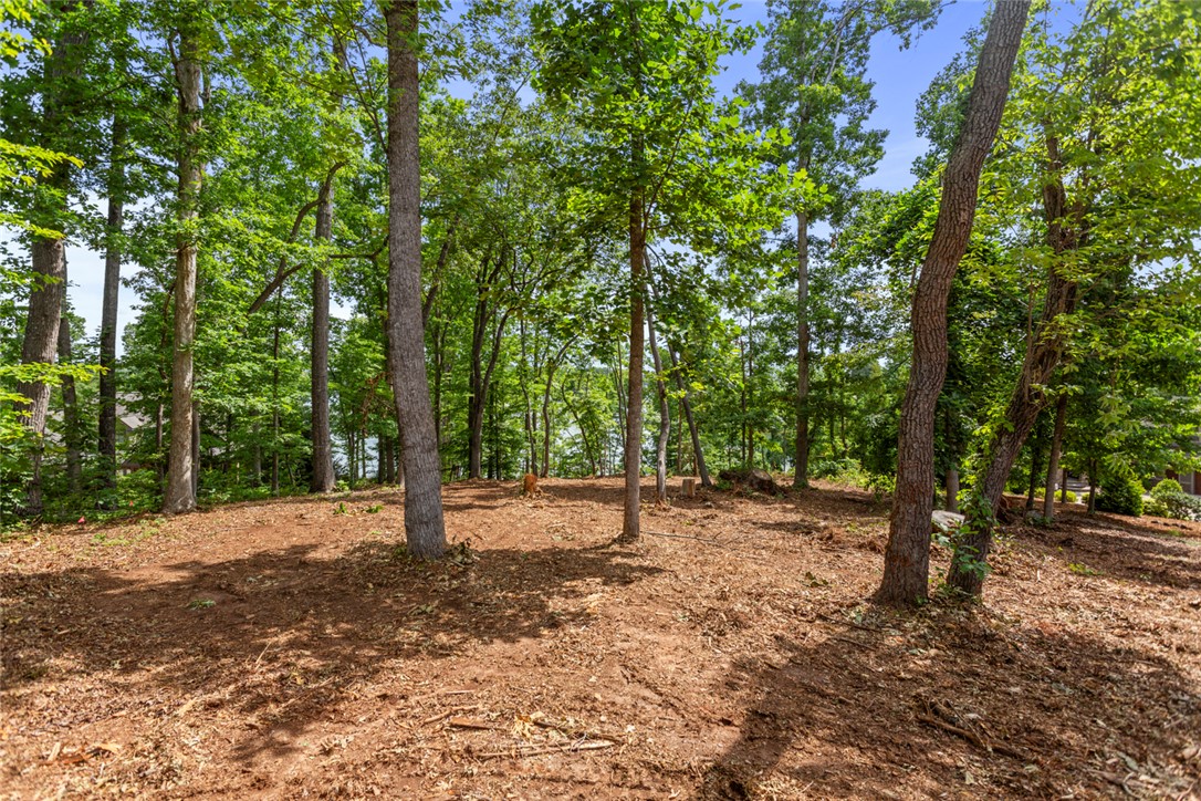 Lot 10 The Oaks/ Augusta Pt, Seneca, South Carolina image 18