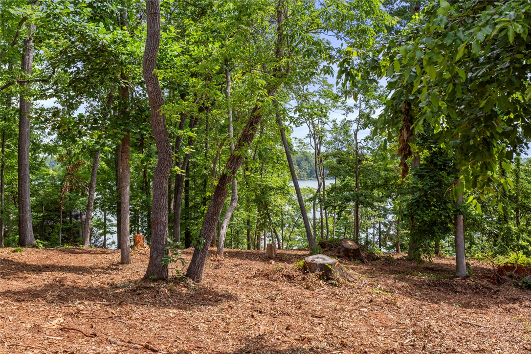 Lot 10 The Oaks/ Augusta Pt, Seneca, South Carolina image 12