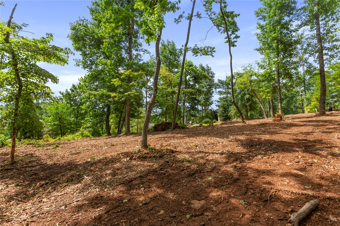 Lot 10 The Oaks/ Augusta Pt, Seneca, South Carolina image 22