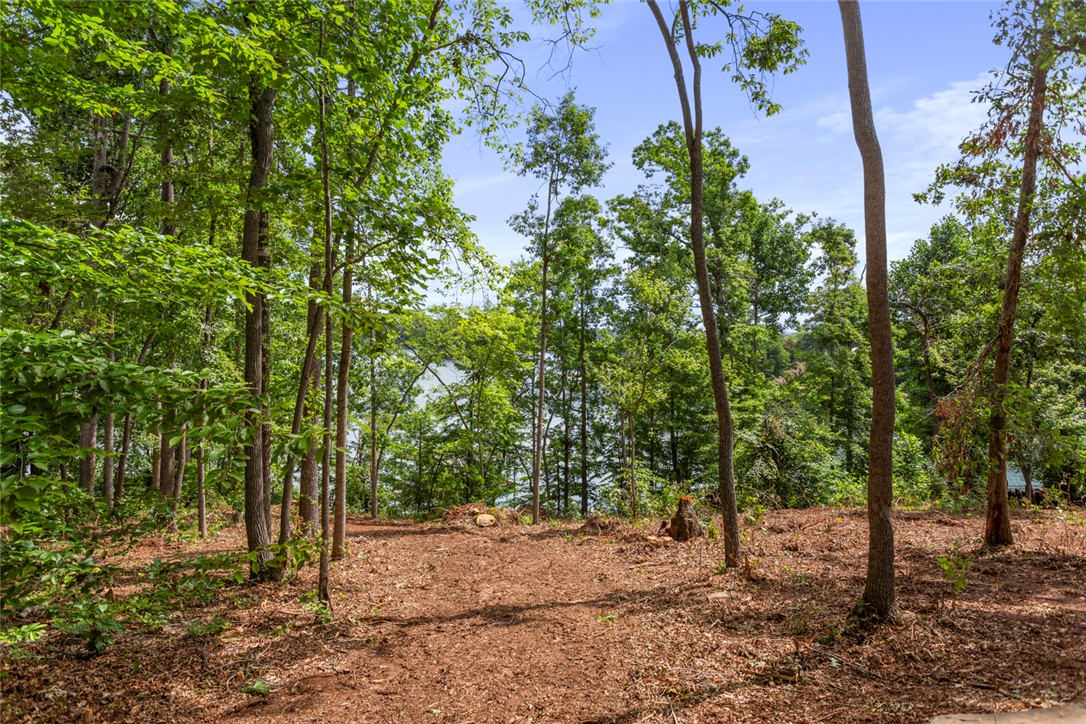 Lot 10 The Oaks/ Augusta Pt, Seneca, South Carolina image 10