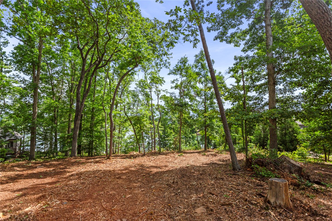 Lot 10 The Oaks/ Augusta Pt, Seneca, South Carolina image 15