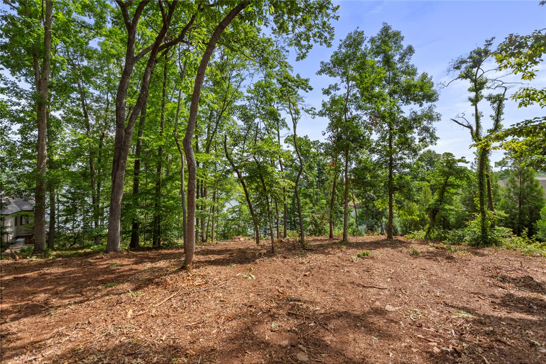 Lot 10 The Oaks/ Augusta Pt, Seneca, South Carolina image 16