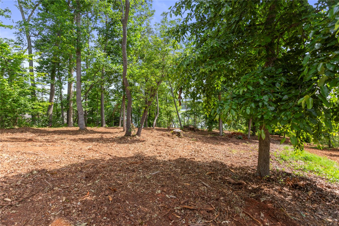 Lot 10 The Oaks/ Augusta Pt, Seneca, South Carolina image 17