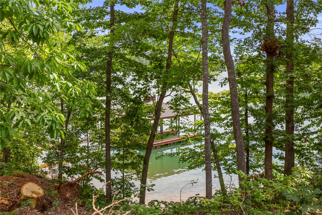 Lot 10 The Oaks/ Augusta Pt, Seneca, South Carolina image 9