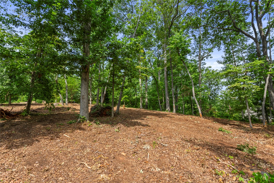 Lot 10 The Oaks/ Augusta Pt, Seneca, South Carolina image 23