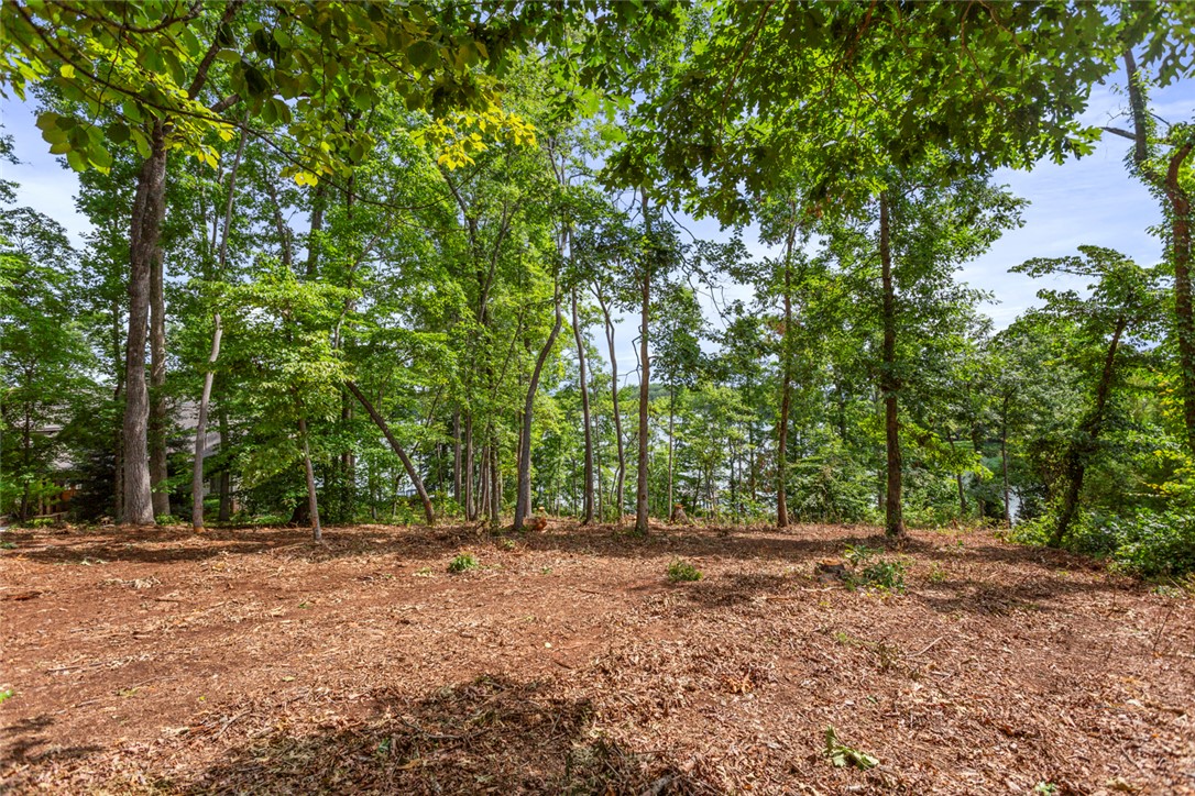 Lot 10 The Oaks/ Augusta Pt, Seneca, South Carolina image 20
