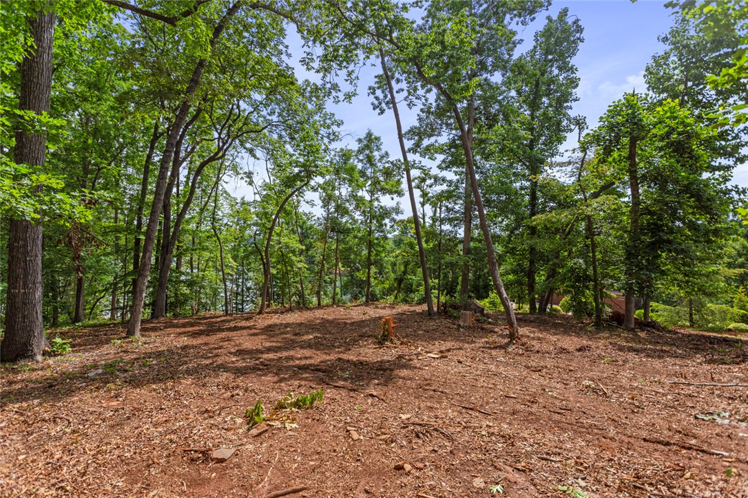 Lot 10 The Oaks/ Augusta Pt, Seneca, South Carolina image 19
