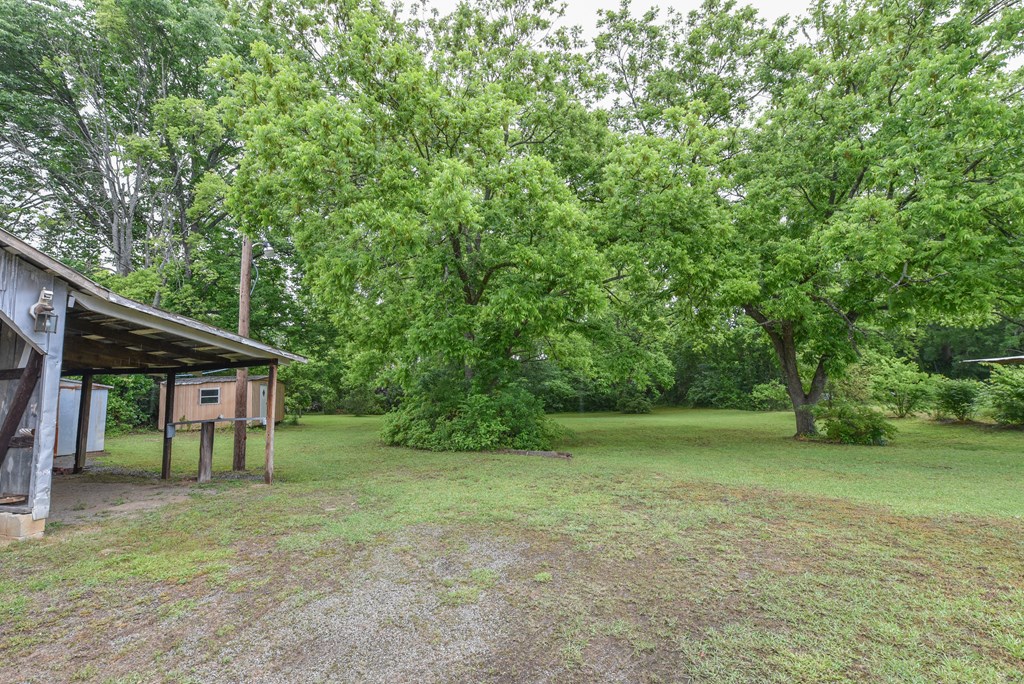 350 Fairfield Street, Calhoun Falls, South Carolina image 2