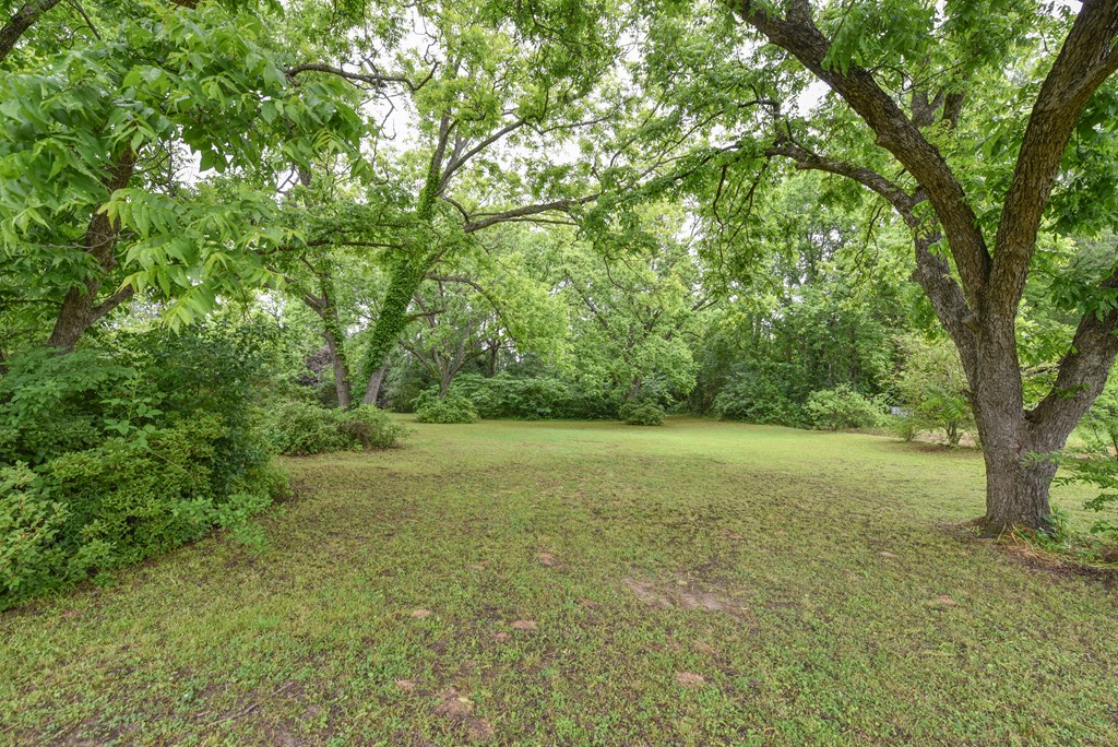350 Fairfield Street, Calhoun Falls, South Carolina image 3