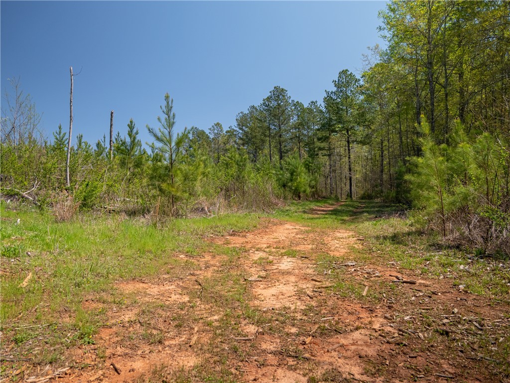 00 Mill Pine Road, Liberty, South Carolina image 29