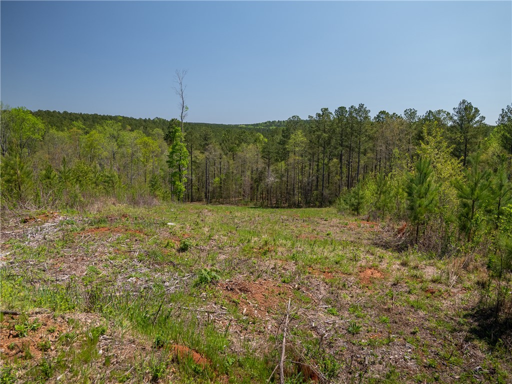 00 Mill Pine Road, Liberty, South Carolina image 23
