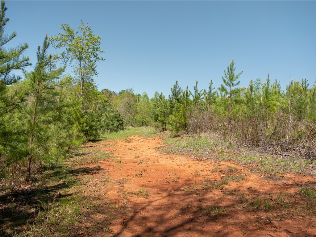 00 Mill Pine Road, Liberty, South Carolina image 32
