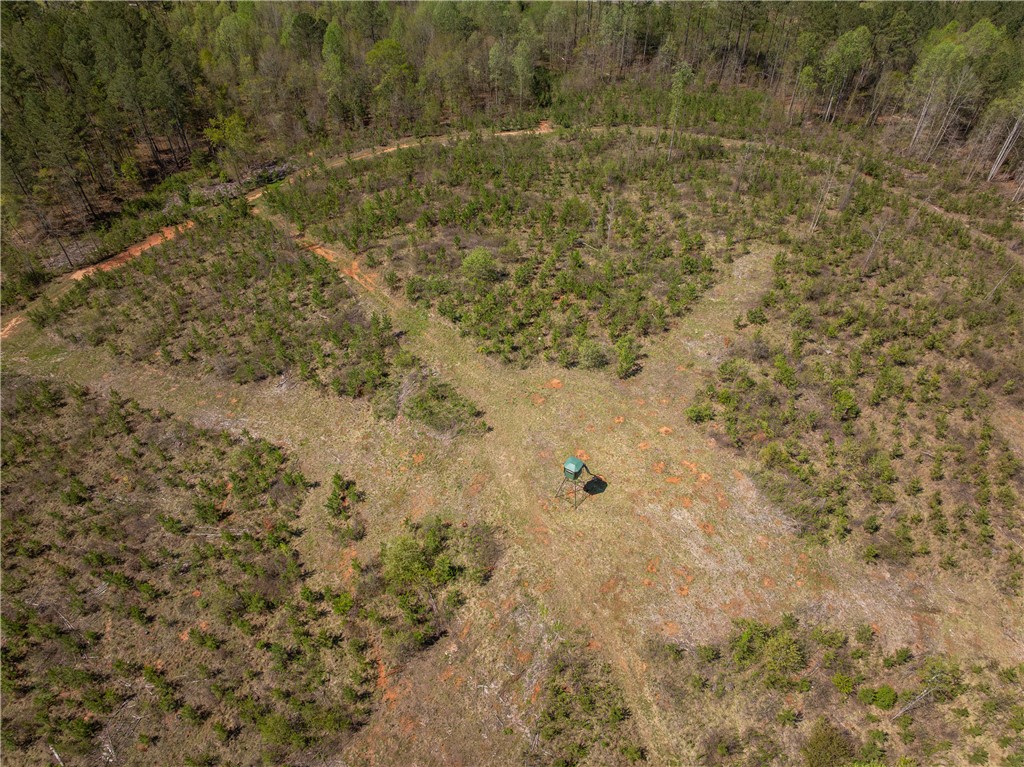 00 Mill Pine Road, Liberty, South Carolina image 9