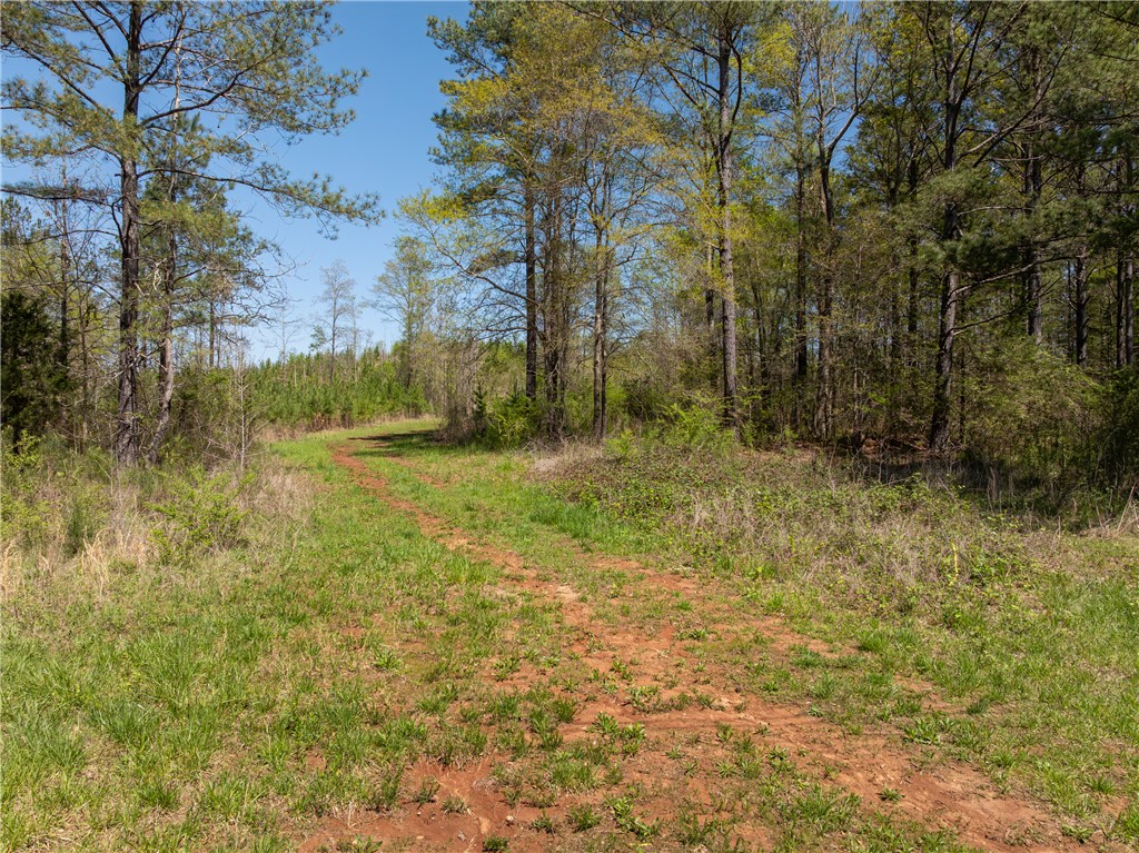 00 Mill Pine Road, Liberty, South Carolina image 20