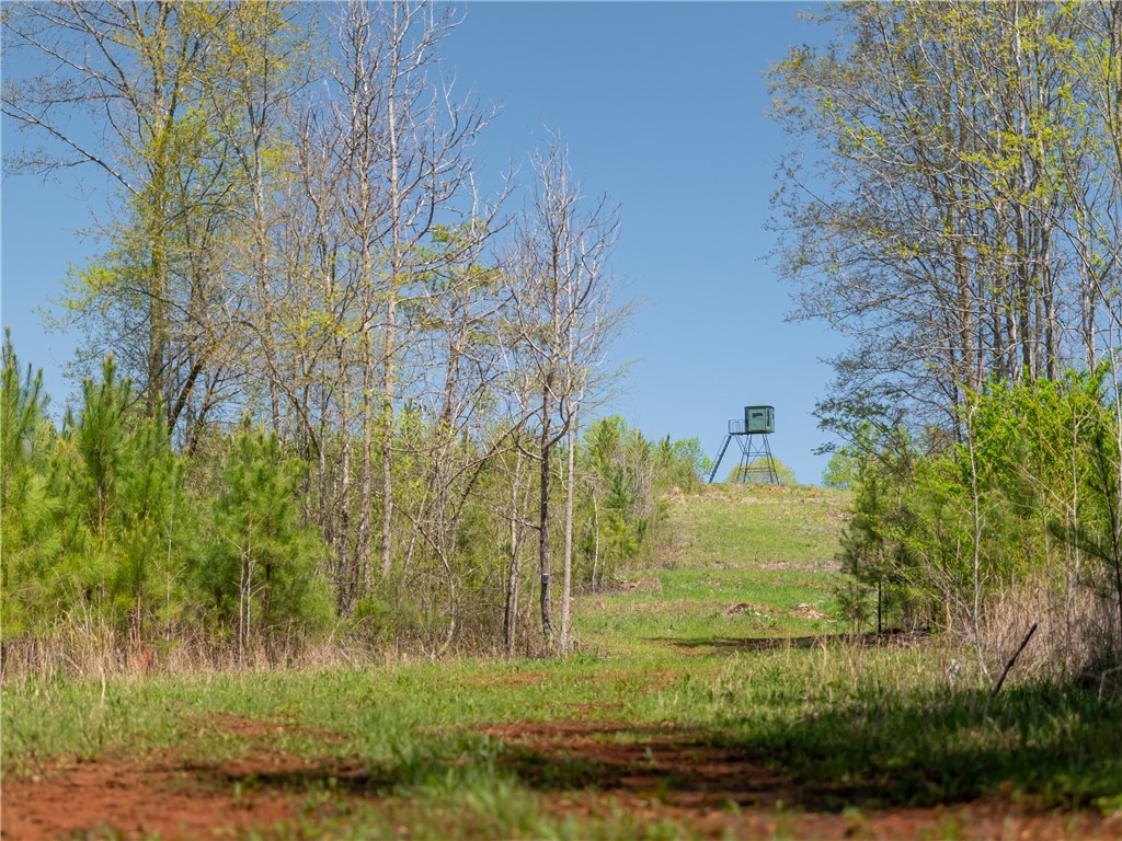 00 Mill Pine Road, Liberty, South Carolina image 21
