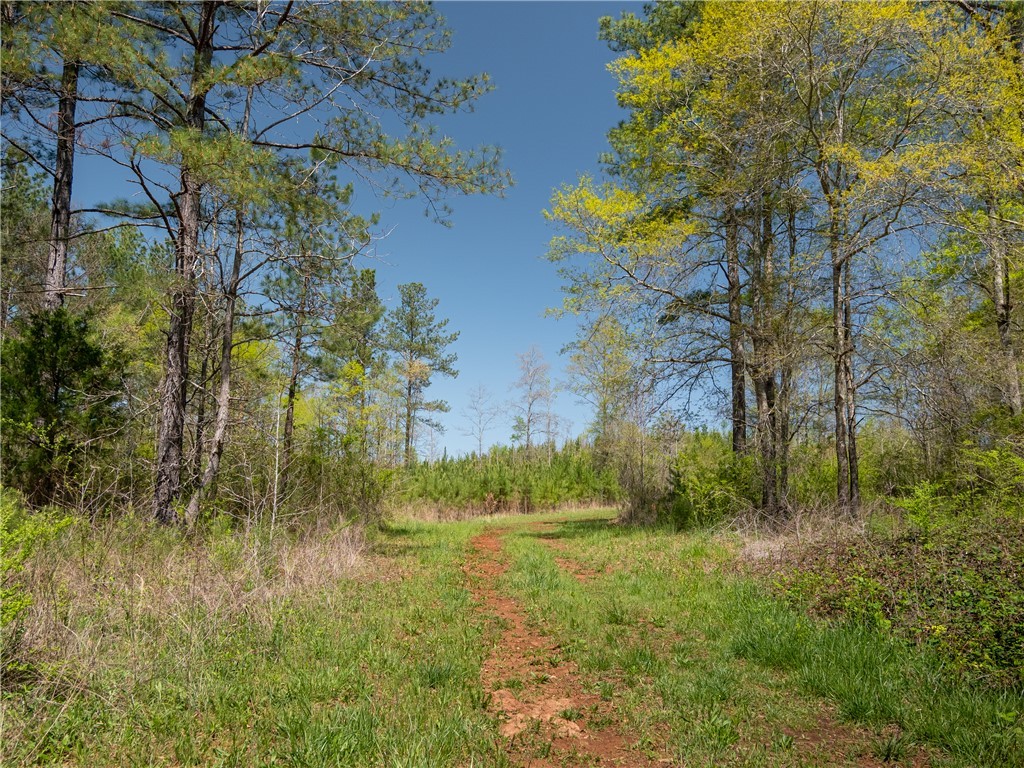 00 Mill Pine Road, Liberty, South Carolina image 19