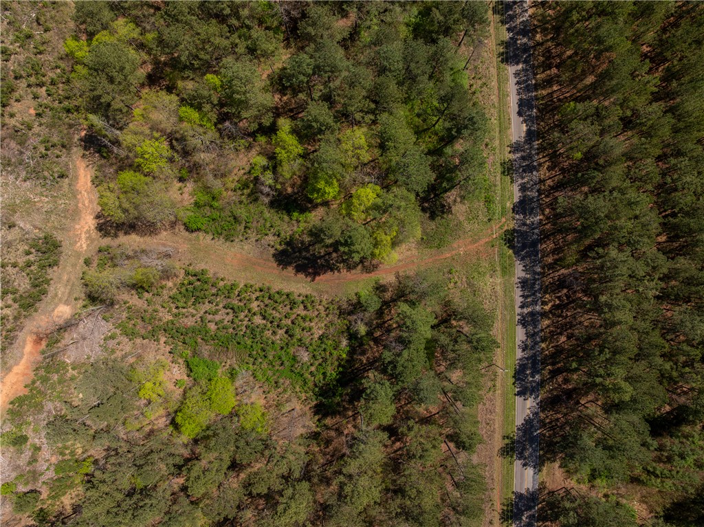 00 Mill Pine Road, Liberty, South Carolina image 16