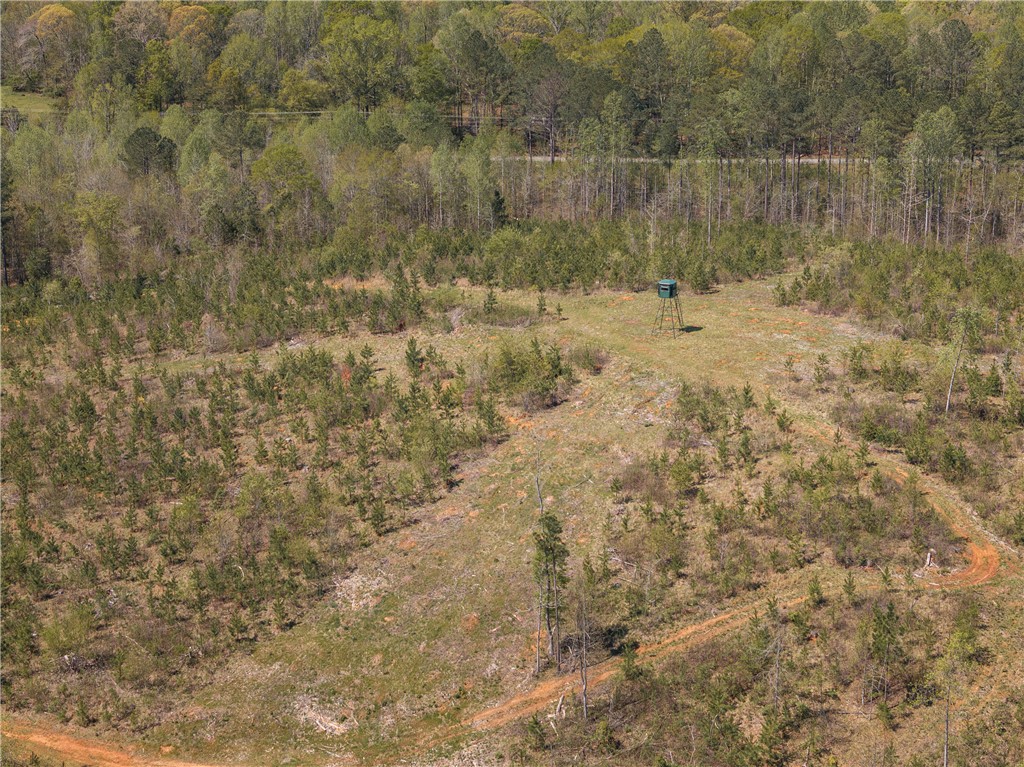 00 Mill Pine Road, Liberty, South Carolina image 24