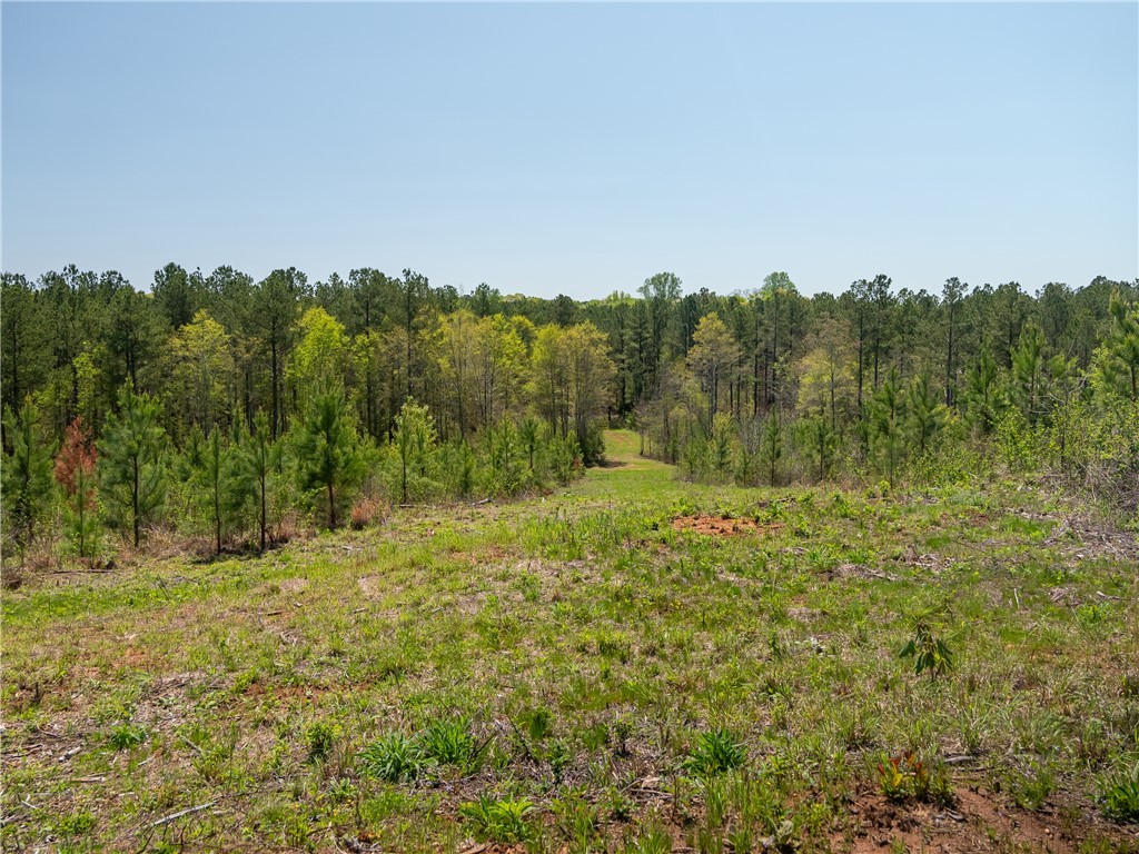 00 Mill Pine Road, Liberty, South Carolina image 30