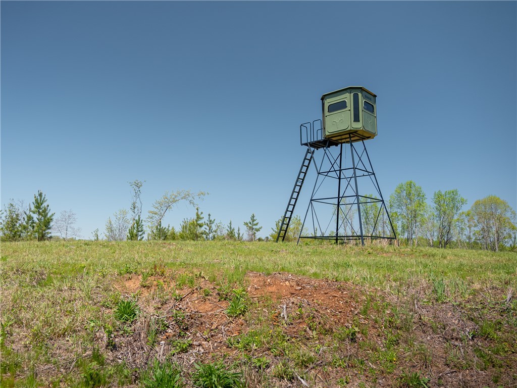 00 Mill Pine Road, Liberty, South Carolina image 11