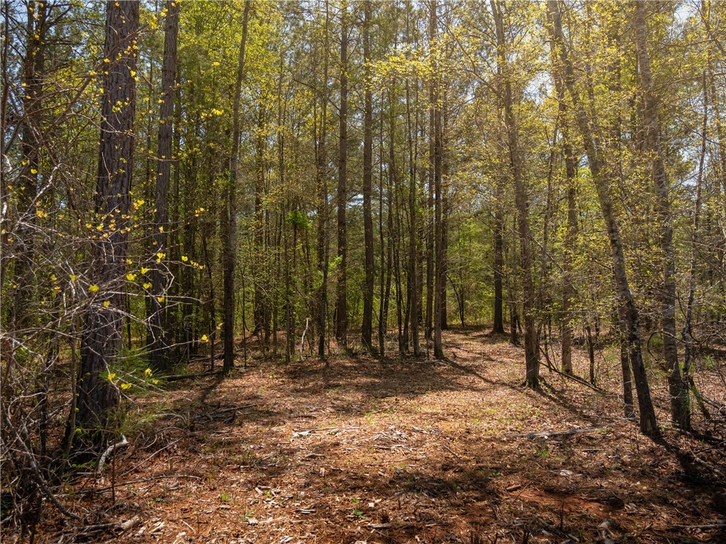00 Mill Pine Road, Liberty, South Carolina image 35