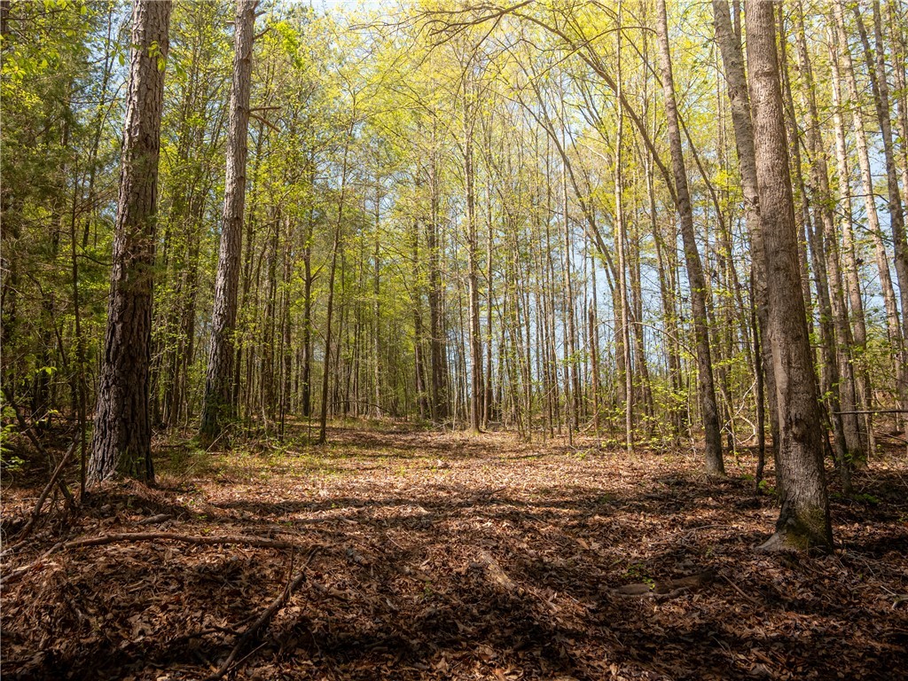 00 Mill Pine Road, Liberty, South Carolina image 34