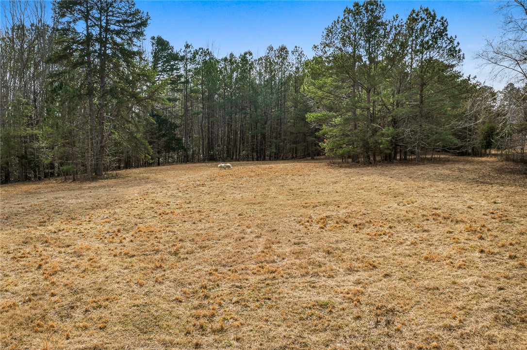 00 Midway Road, Williamston, South Carolina image 13