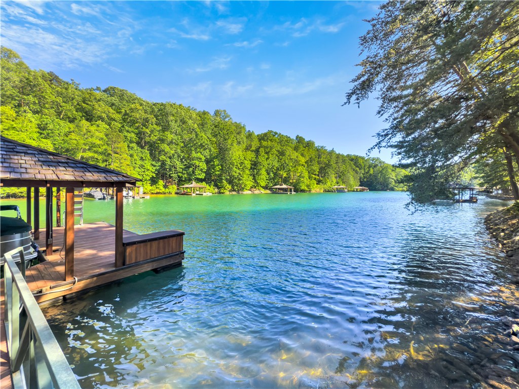 201 Saranac Drive, Sunset, South Carolina image 41
