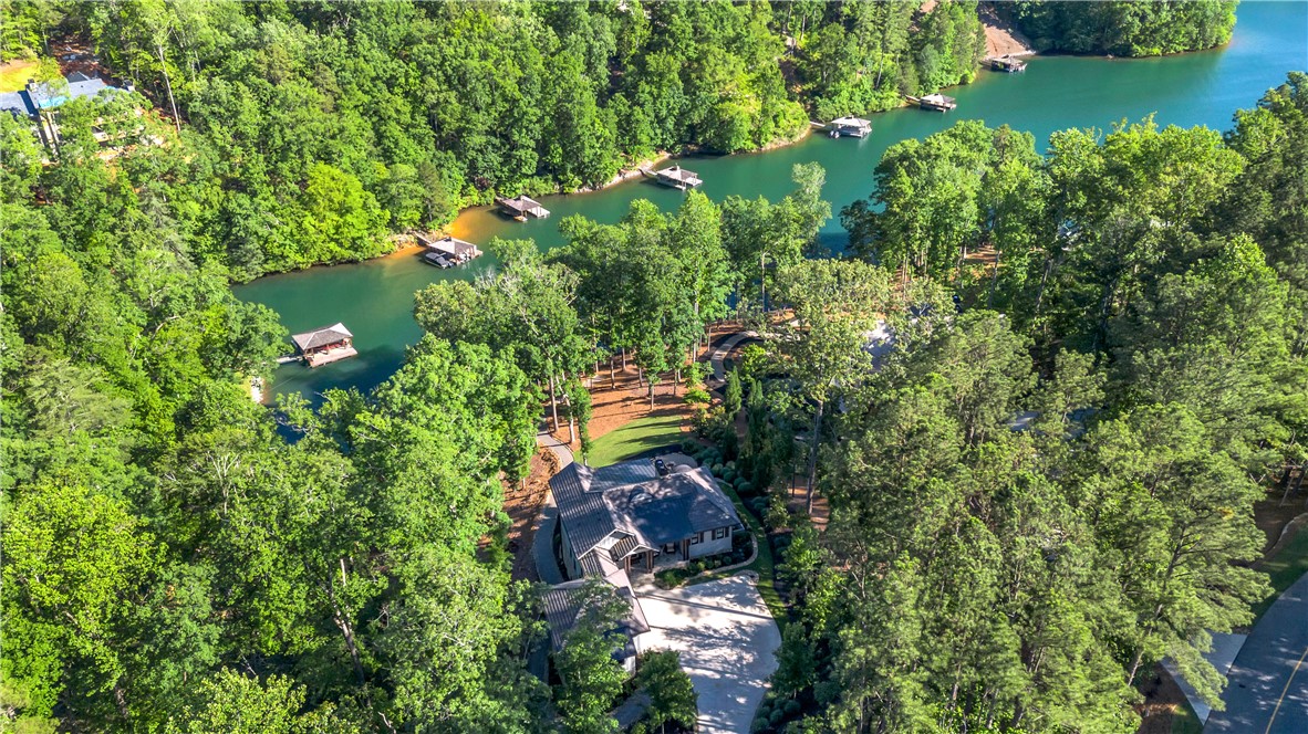 201 Saranac Drive, Sunset, South Carolina image 3