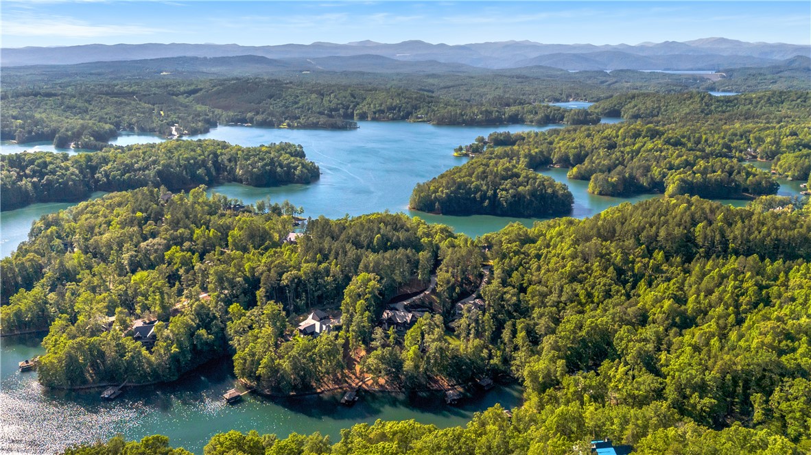 201 Saranac Drive, Sunset, South Carolina image 44