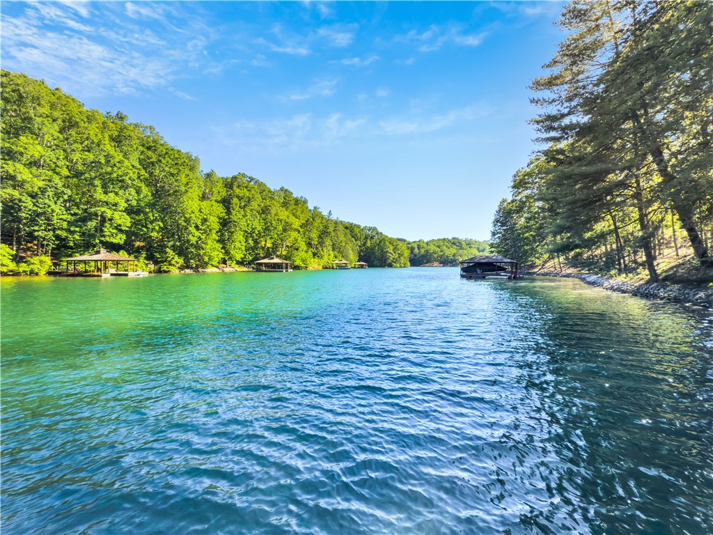 201 Saranac Drive, Sunset, South Carolina image 43