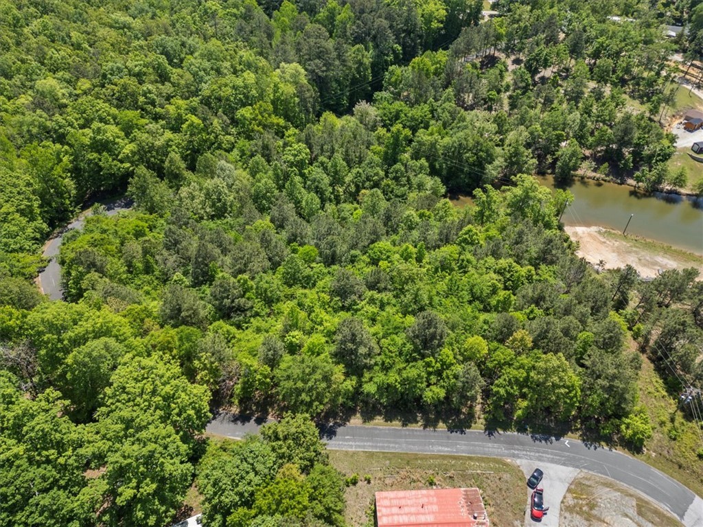 00 Lake Forest Drive, Waterloo, South Carolina image 8