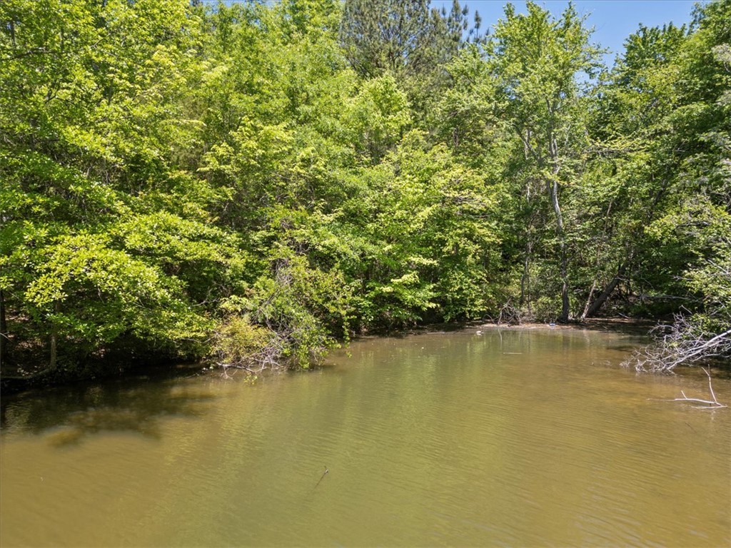 00 Lake Forest Drive, Waterloo, South Carolina image 2