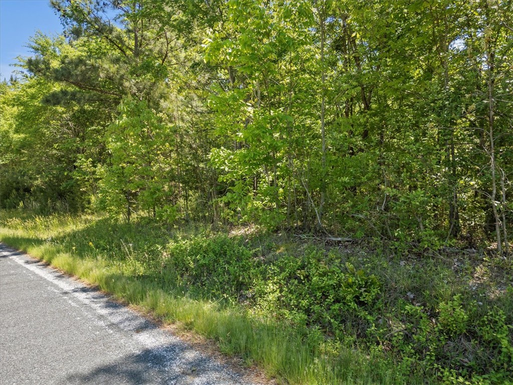 00 Lake Forest Drive, Waterloo, South Carolina image 1