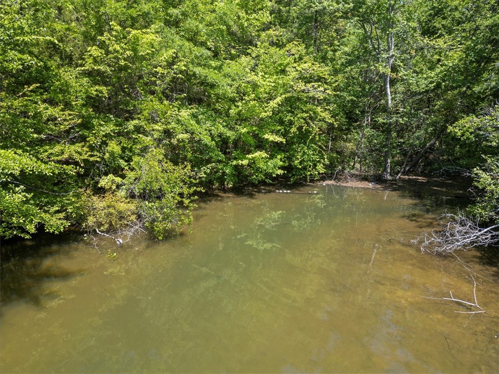 00 Lake Forest Drive, Waterloo, South Carolina image 3