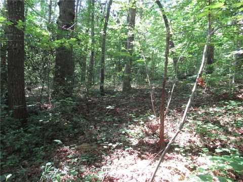Vacant Land For Sale - 00 Gauley Falls Road<br/> Pickens, SC 29671