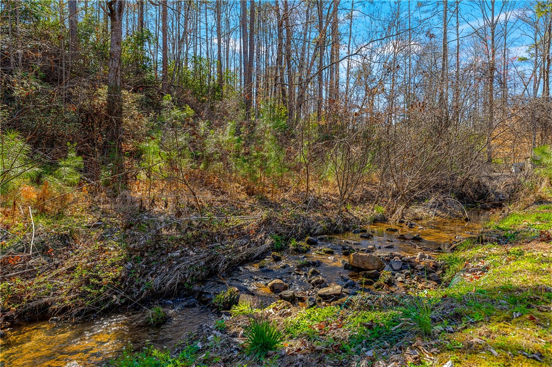 609 Massingill Memorial Drive, Pickens, South Carolina image 29