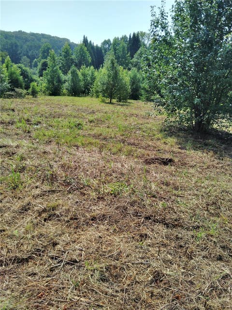 Vacant Land For Sale - Jameson Road<br/> Easley, SC 29640